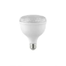 30W yüksek güçlü LED ampul